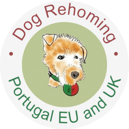 February 2026 Newsletter