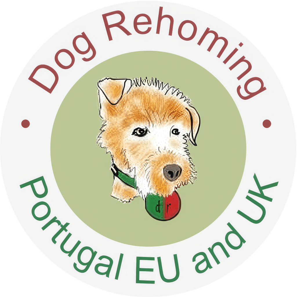Dog Rehoming Portugal, EU and UK                                                January 2026&nbsp;Newsletter