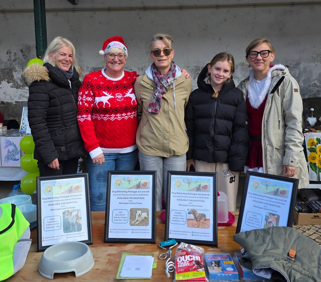 Alternative_christmas_market_portugal