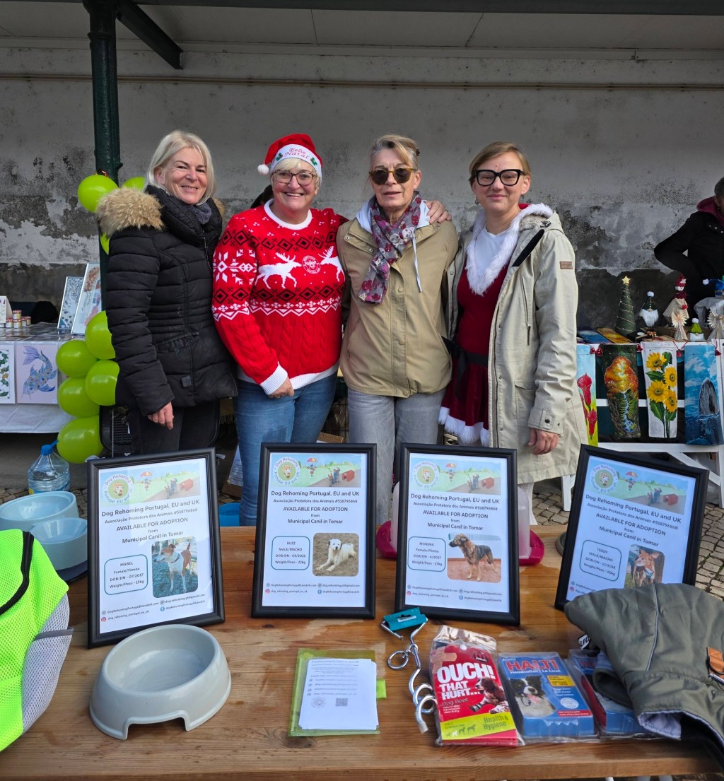 Welcome to the Dog Rehoming Blog&nbsp;Adventure