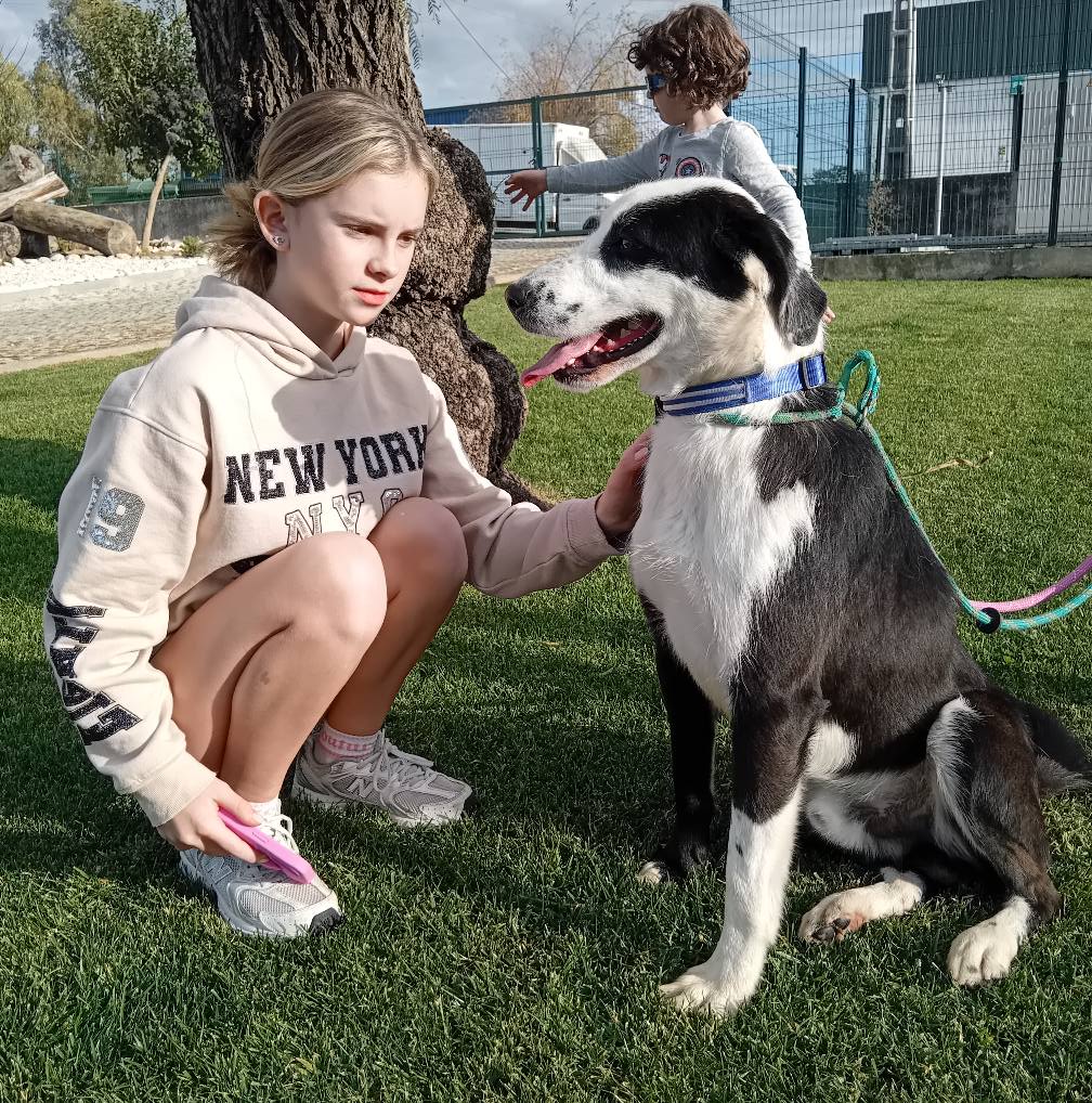 children with dogs at the dog shelter
