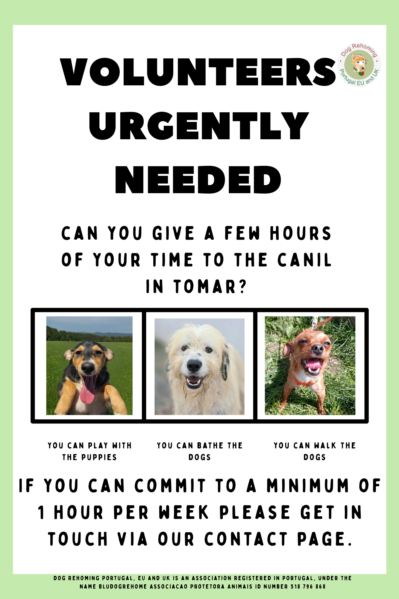 volunteeers_needed_for_dog_rescue